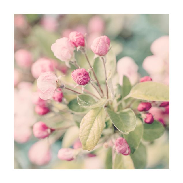 Wanddeko rosa Apfelblüte Bokeh rosa