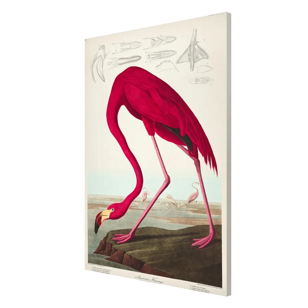 Wanddeko Büro Vintage Lehrtafel Amerikanischer Flamingo