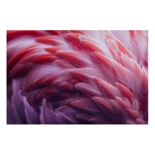 Wanddeko Esszimmer Flamingofedern Close-up