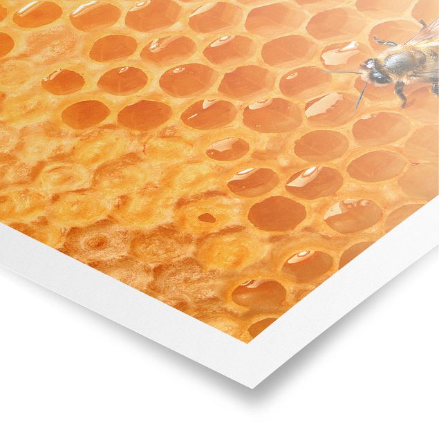 Deko Kulinarisch Honey Bee
