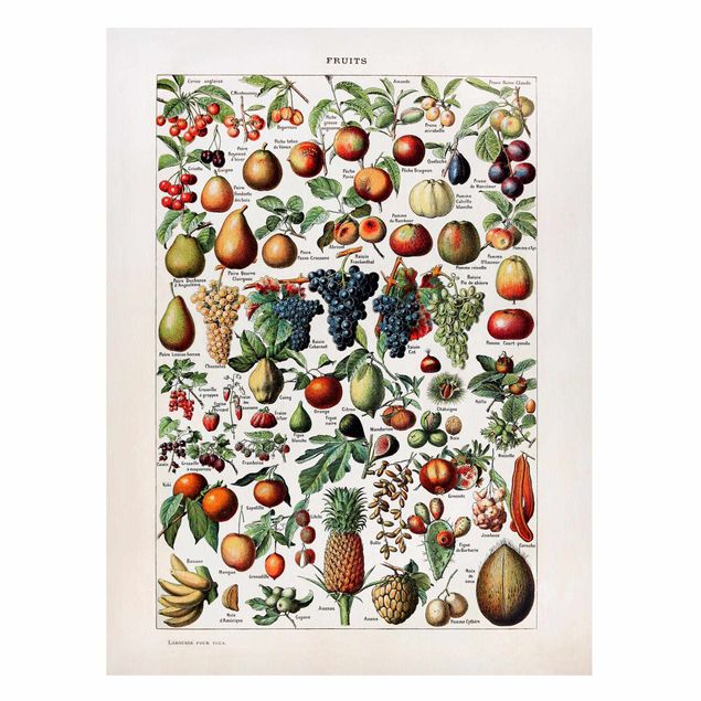 Wanddeko bunt Vintage Lehrtafel Früchte