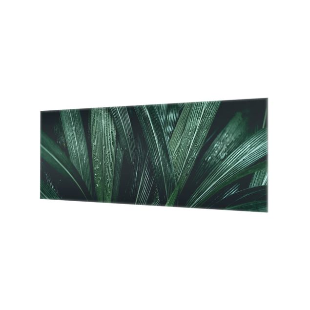 Wanddeko Tropisch Grüne Palmenblätter