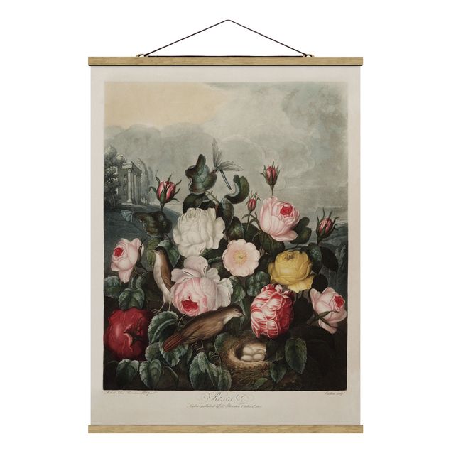 Wanddeko Esszimmer Botanik Vintage Illustration Rosen