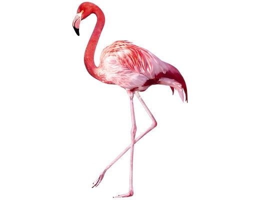 Wanddeko Büro Pink Flamingo
