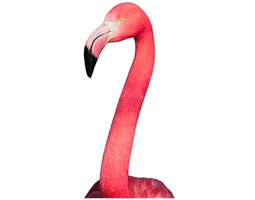 Wanddeko Flur Neugieriger Flamingo