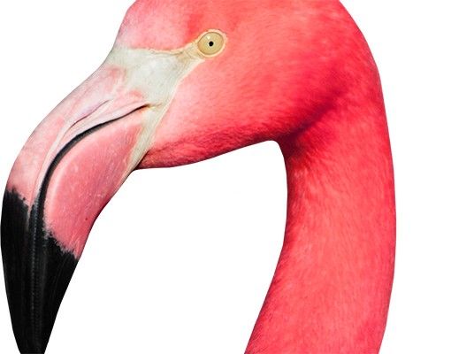 Wanddeko Esszimmer Neugieriger Flamingo