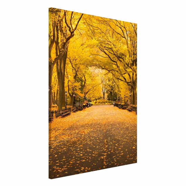 Wandbilder New York Herbst im Central Park