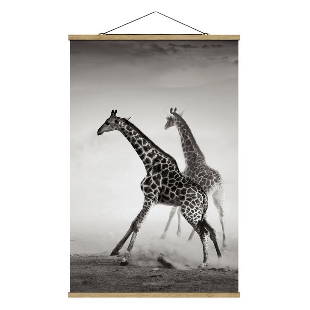 Wandbilder Giraffen Giraffenjagd