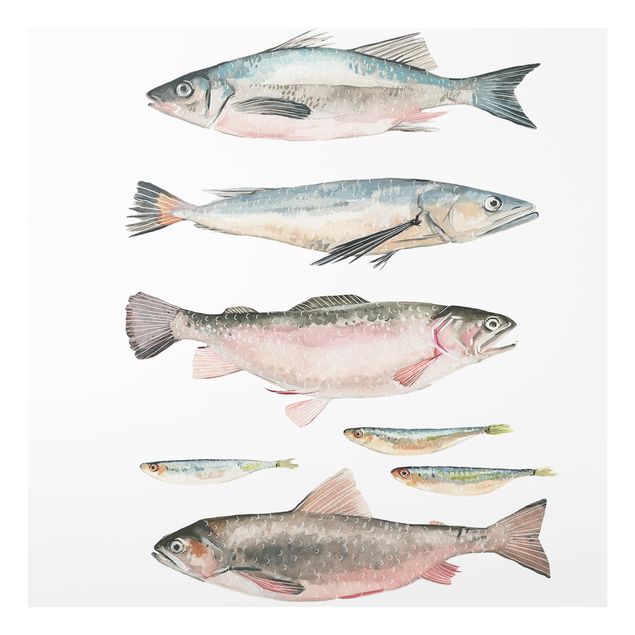 Wanddeko Illustration Sieben Fische in Aquarell I