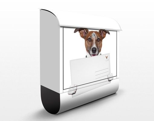 Wanddeko Büro Hund mit Brief