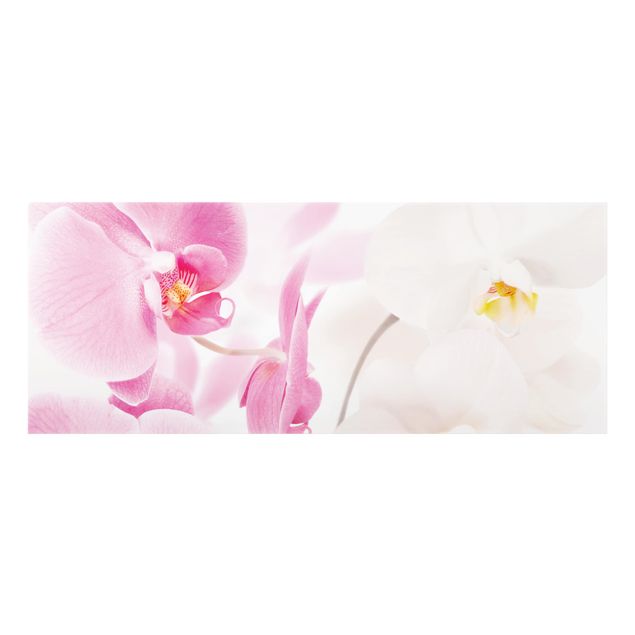 Deko Fotografie Delicate Orchids