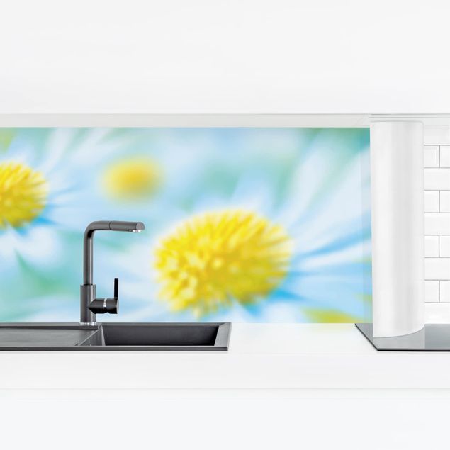 Küchenrückwand Folie Blumen Daisy