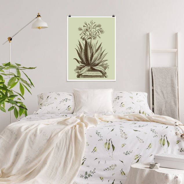 Wohndeko Blume Vintage Aloe Serrata