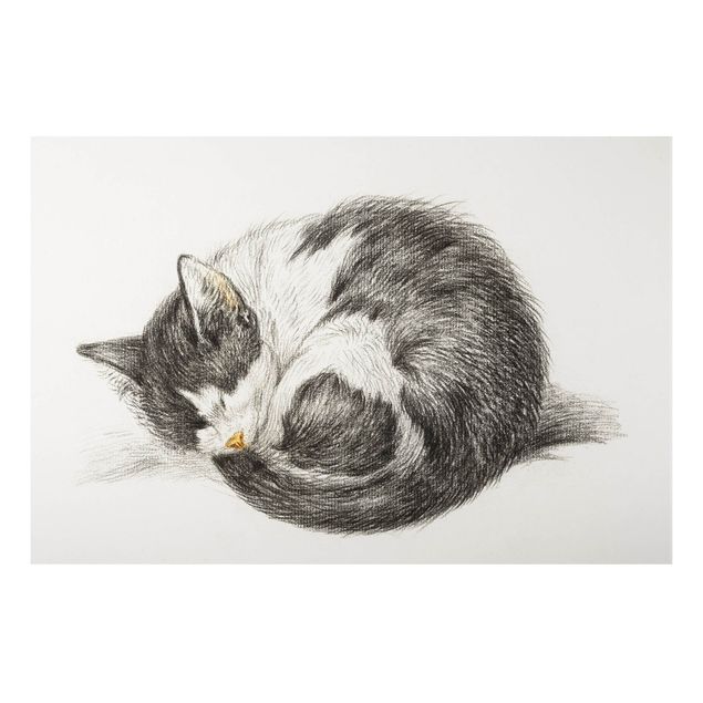 Wanddeko Flur Vintage Zeichnung Katze II
