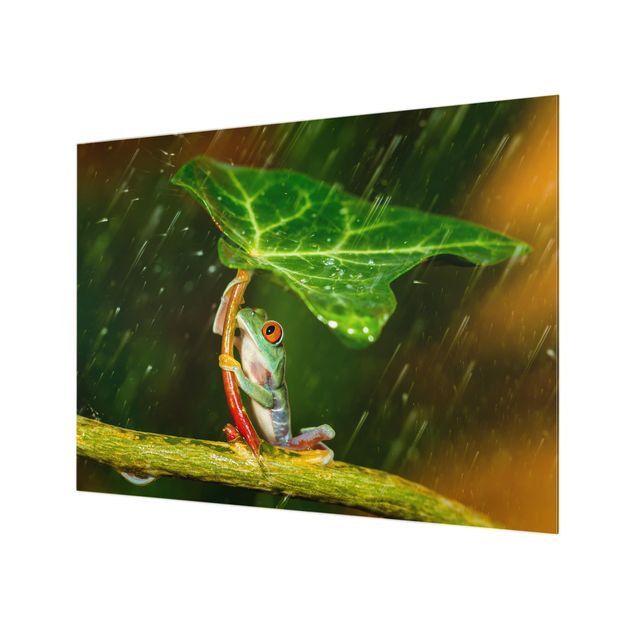 Wohndeko Fotografie Ein Frosch im Regen