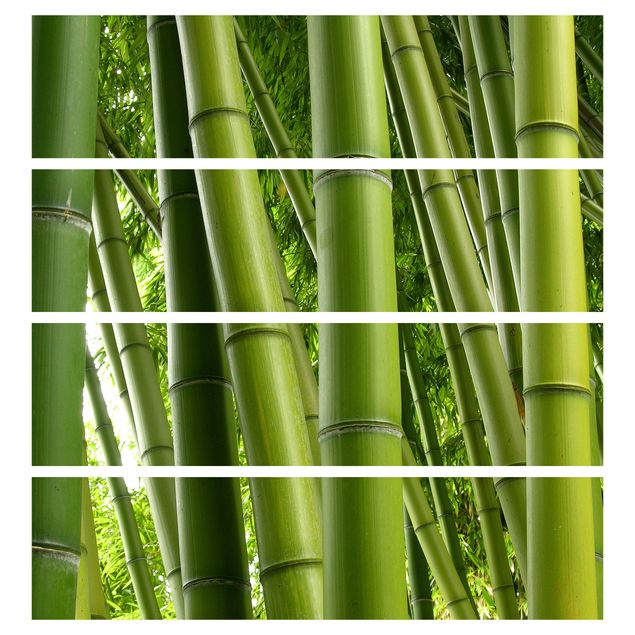 selbstklebende Klebefolie Bamboo Trees No.1