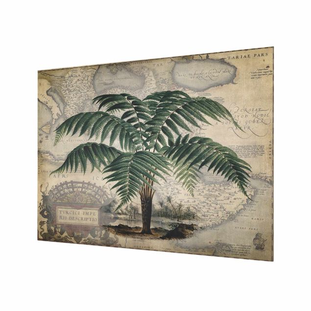 Deko Tropisch Vintage Collage - Palme und Weltkarte
