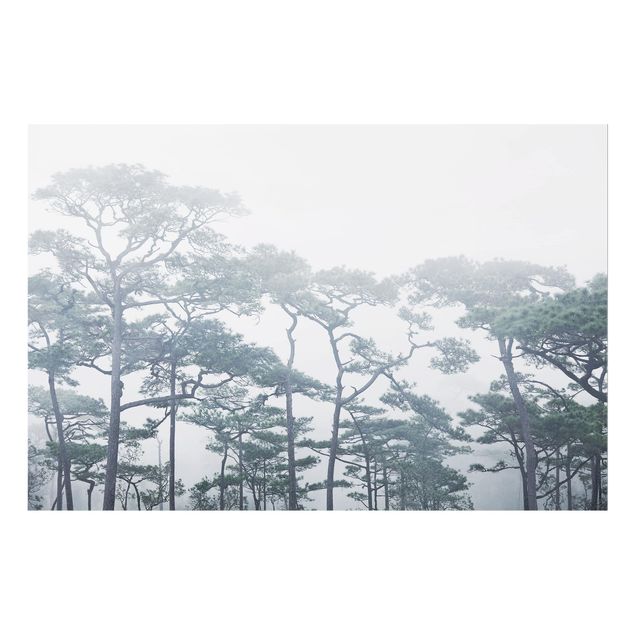 Deko Bäume Baumkronen im Nebel