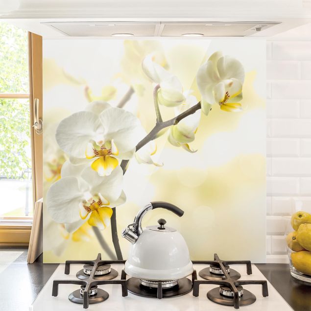 Küche Dekoration Orchideen Zweig