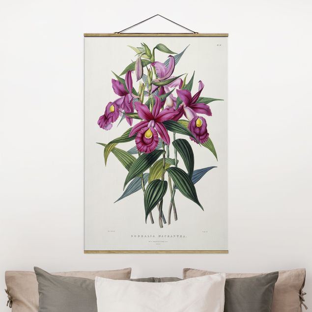Wandbilder Orchideen Maxim Gauci - Orchidee I