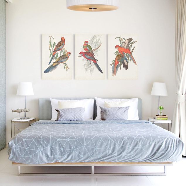 Wanddeko Schlafzimmer Tropische Papageien Set I