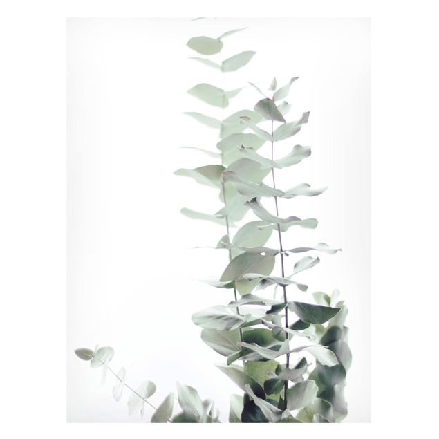 Wanddeko Esszimmer Eukalyptus im Weißen Licht