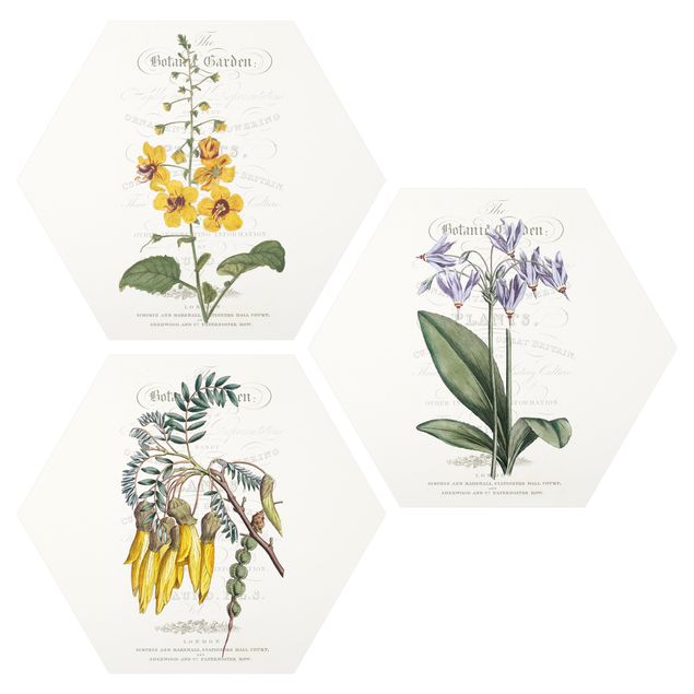 Wanddeko Flur Botanisches Tableau Set I