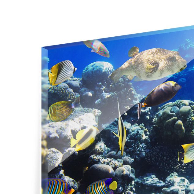 Wanddeko Fotografie Underwater Reef