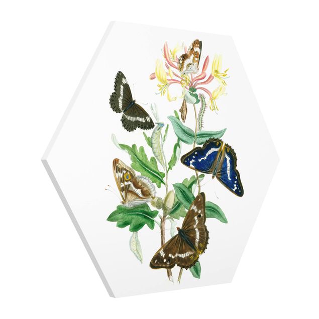 Wanddeko Esszimmer Britische Schmetterlinge IV