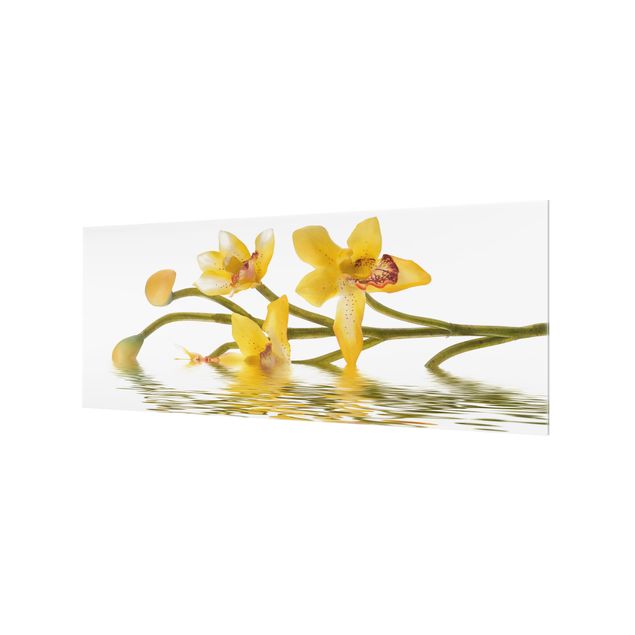 Glasrückwand Küche Blumen Saffron Orchid Waters