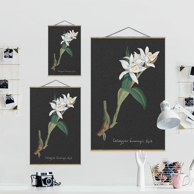 Wanddeko Büro Weiße Orchidee auf Leinen II