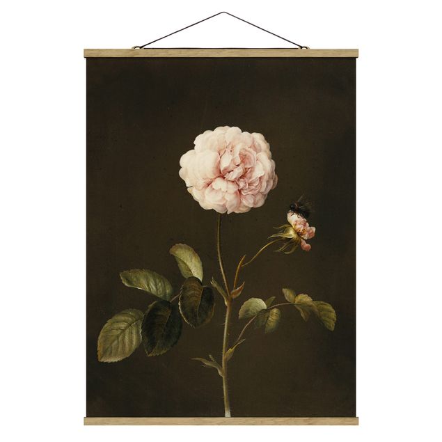Wanddeko Blume Barbara Regina Dietzsch - Essig-Rose mit Hummel