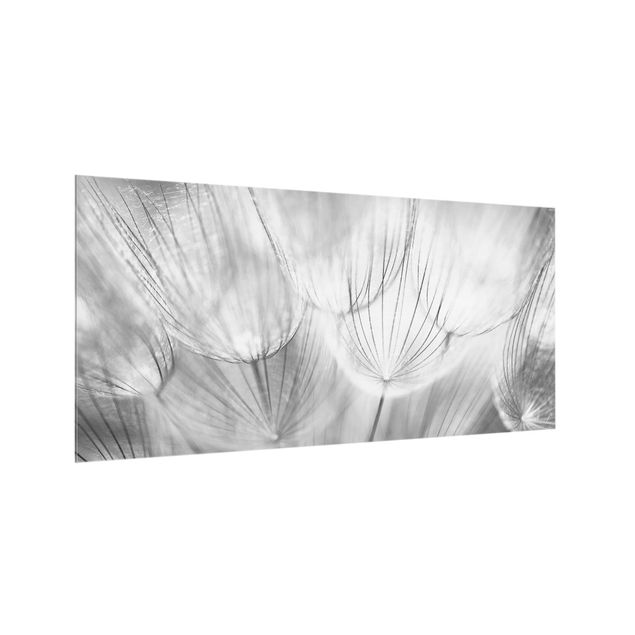 Wanddeko Blume Pusteblumen Makroaufnahme in schwarz weiß