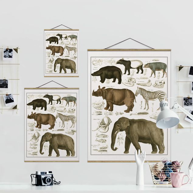 Wanddeko Flur Vintage Lehrtafel Elefant, Zebra und Nashorn