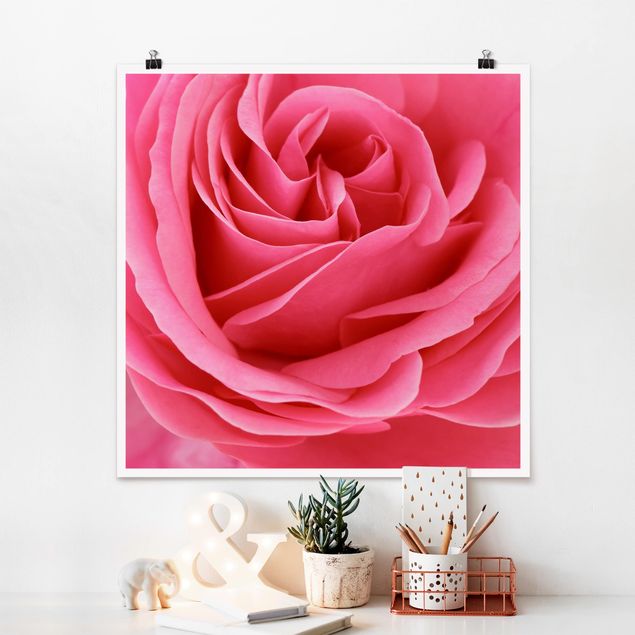 Wanddeko Wohnzimmer Lustful Pink Rose