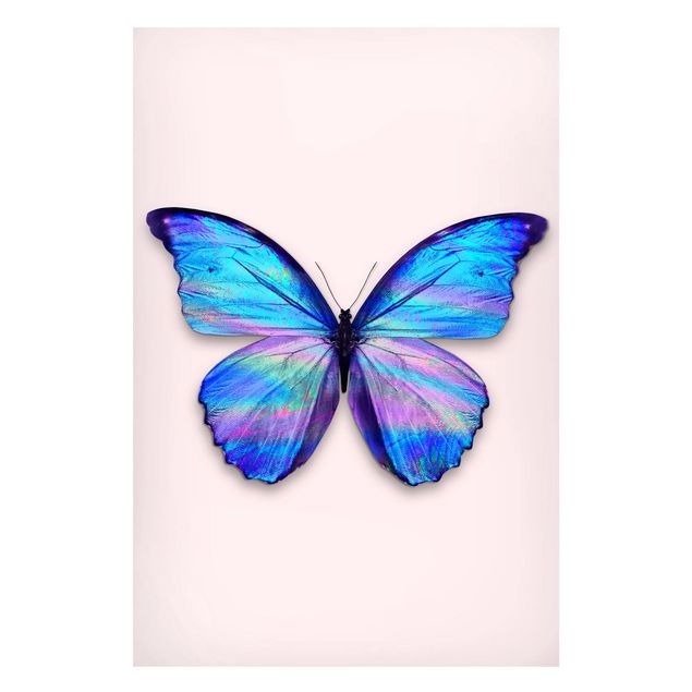 Wandbilder Fische Holografischer Schmetterling