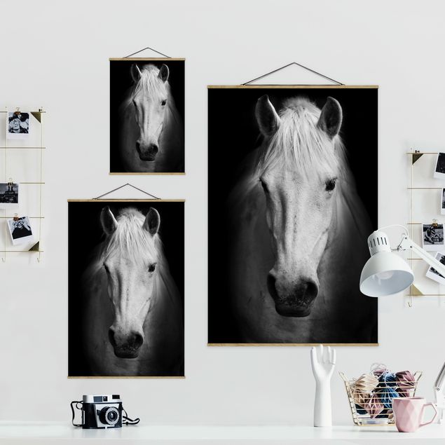 Wandbilder Pferde Dream of a Horse