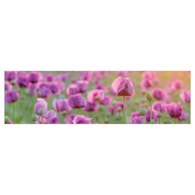 selbstklebende Klebefolie Violette Schlafmohn Blumenwiese im Frühling