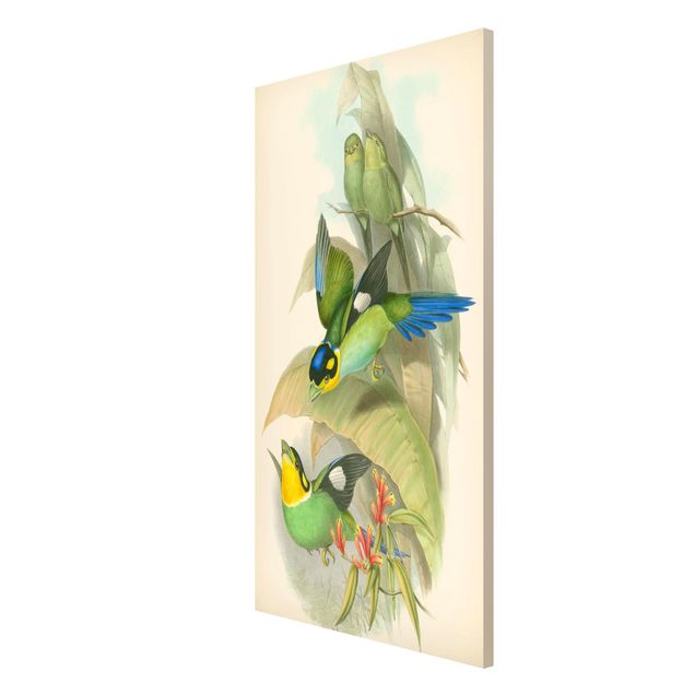 Wanddeko grün Vintage Illustration Tropische Vögel