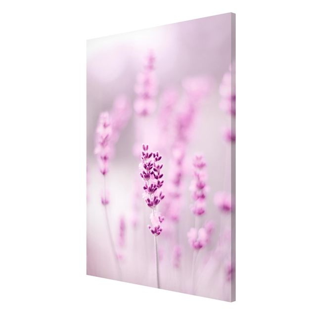 Wanddeko Esszimmer Zartvioletter Lavendel