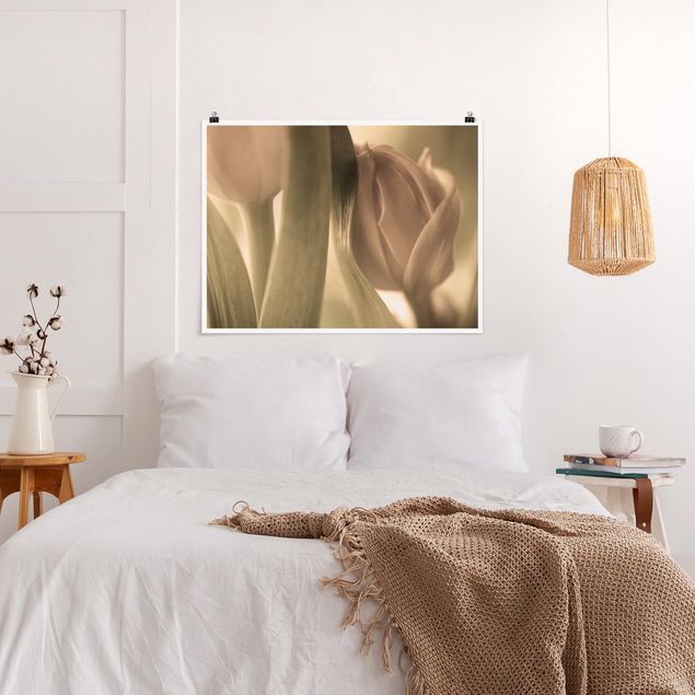 Wanddeko Schlafzimmer Zarte Tulpen