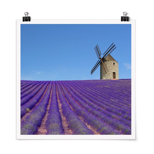Wanddeko Wohnzimmer Lavendelduft in der Provence