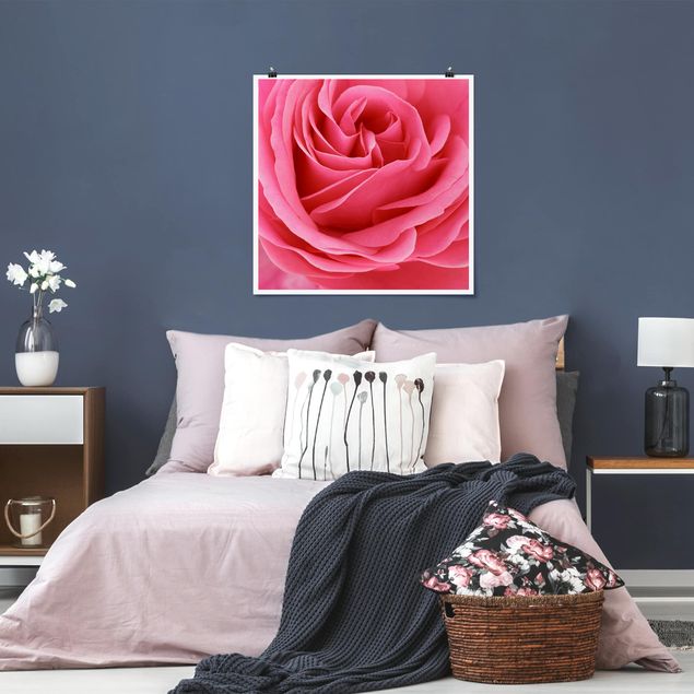 Küche Dekoration Lustful Pink Rose