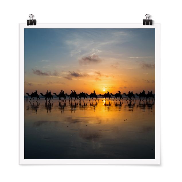 Wanddeko Schlafzimmer Kamele im Sonnenuntergang
