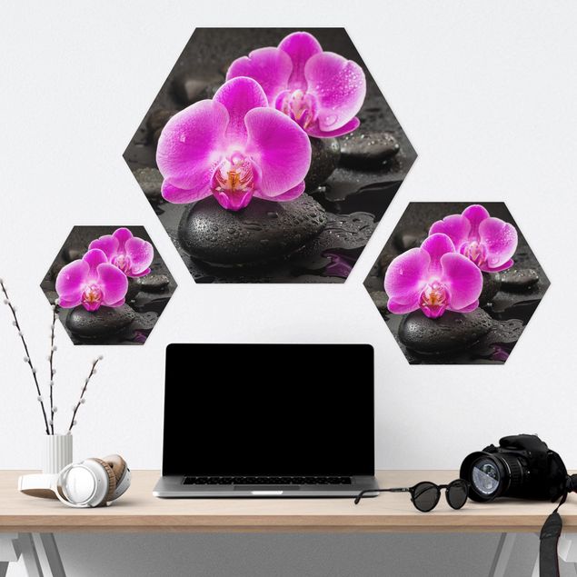 Wanddeko über Sofa Pinke Orchideenblüten auf Steinen mit Tropfen