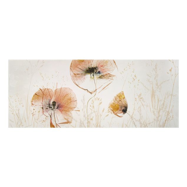 Wohndeko Fotografie Getrocknete Mohnblüten mit zarten Gräsern