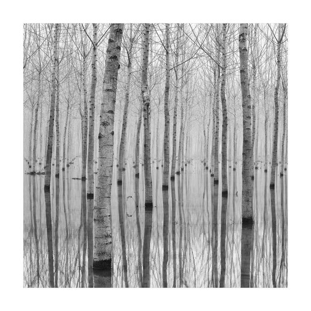 Wanddeko schwarz-weiß Birken im November