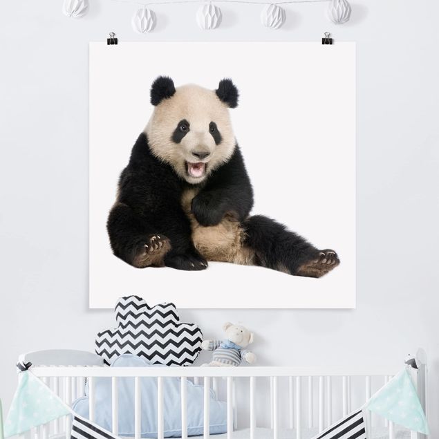 Wanddeko Büro Lachender Panda