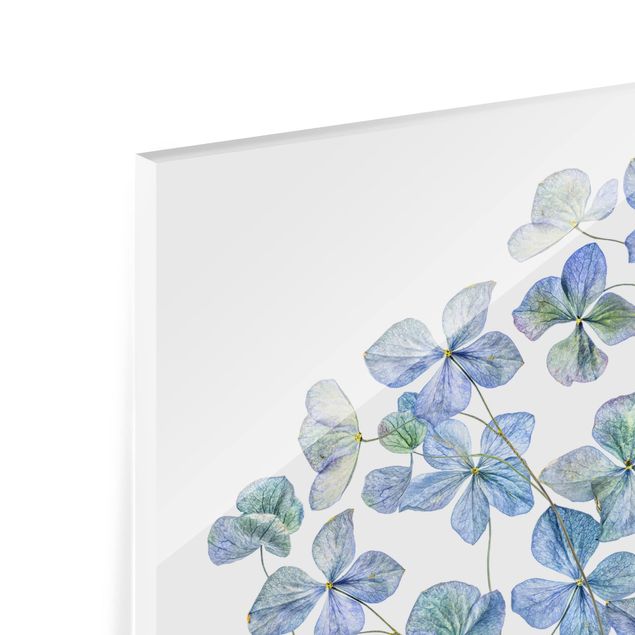 Glasrückwand Küche Blumen Blaue Hortensienblüten
