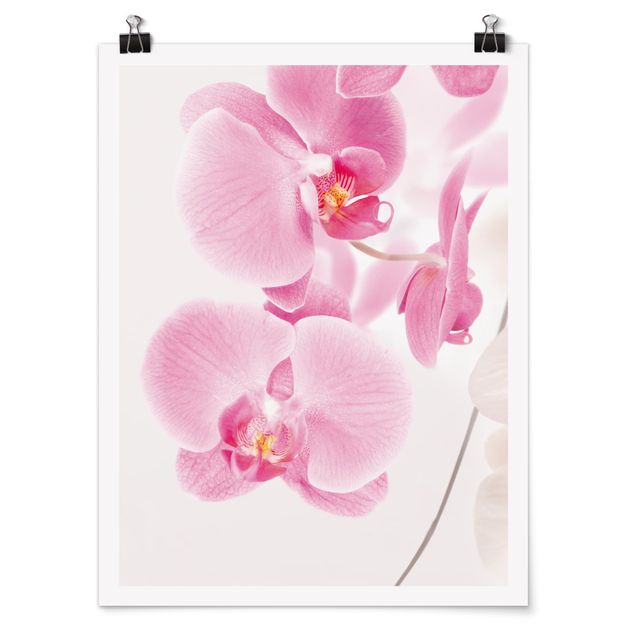 Wanddeko Flur Delicate Orchids